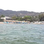 Bela